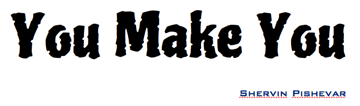 You Make You - By Shervin Pishevar